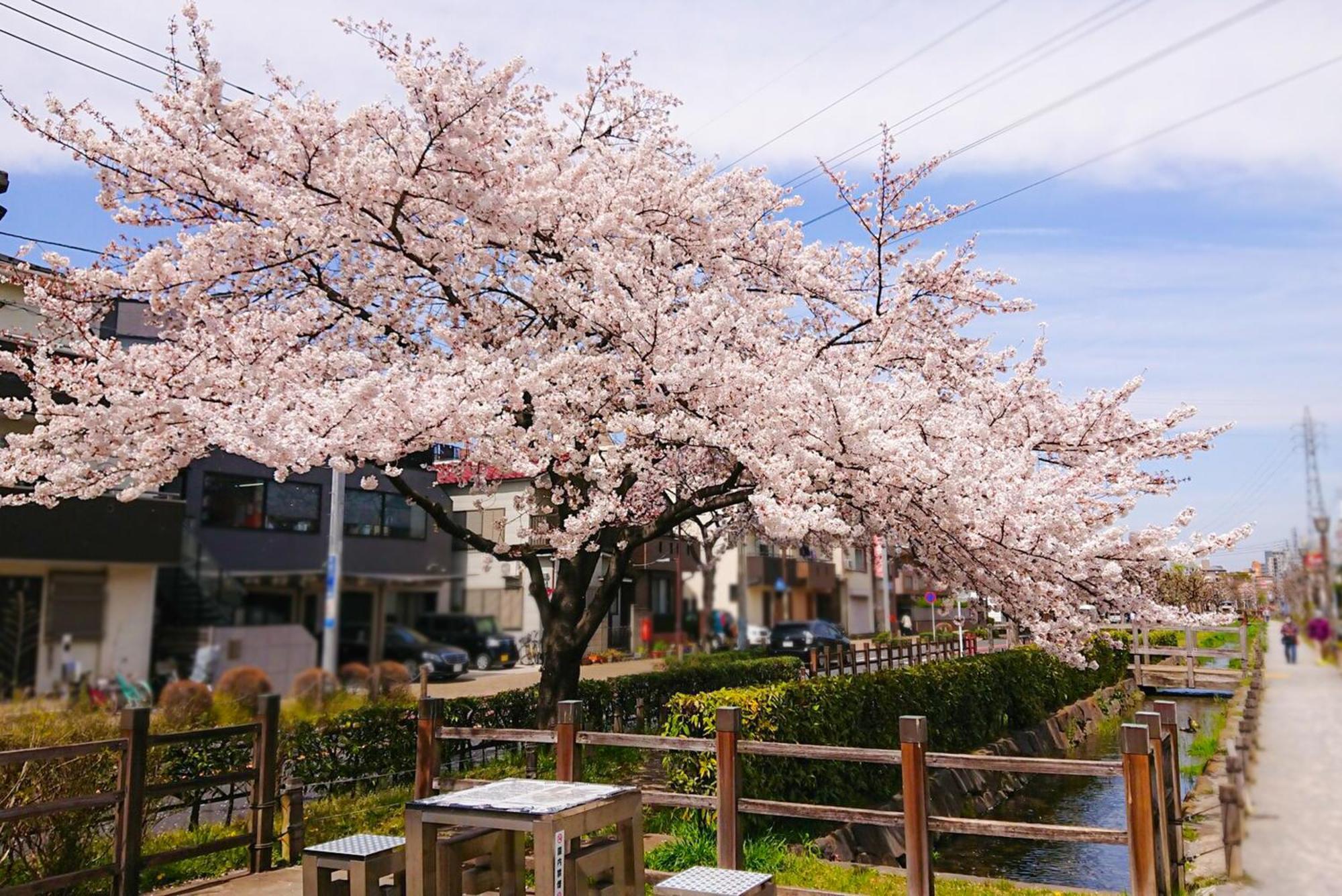 Appartamento Sc Heights 106 Tokyo Esterno foto